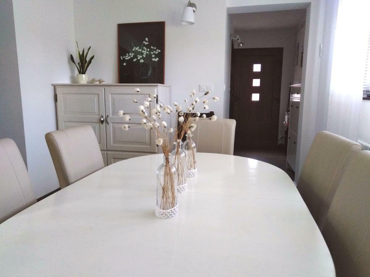 Spacious Apartment "Ana" On Lake Sabljaci Ogulin Exterior photo
